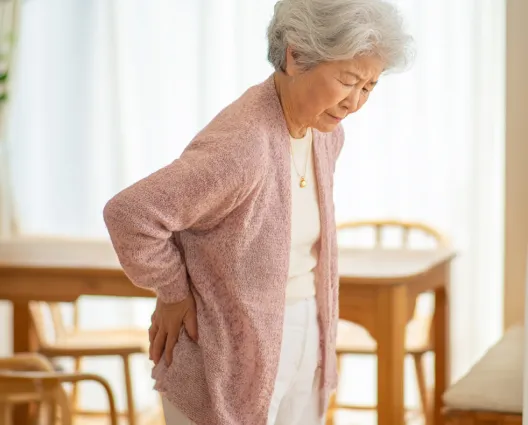 骨粗しょう症との関係