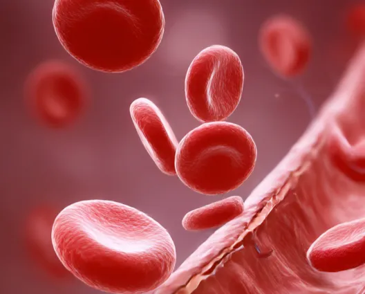 糖尿病との関係