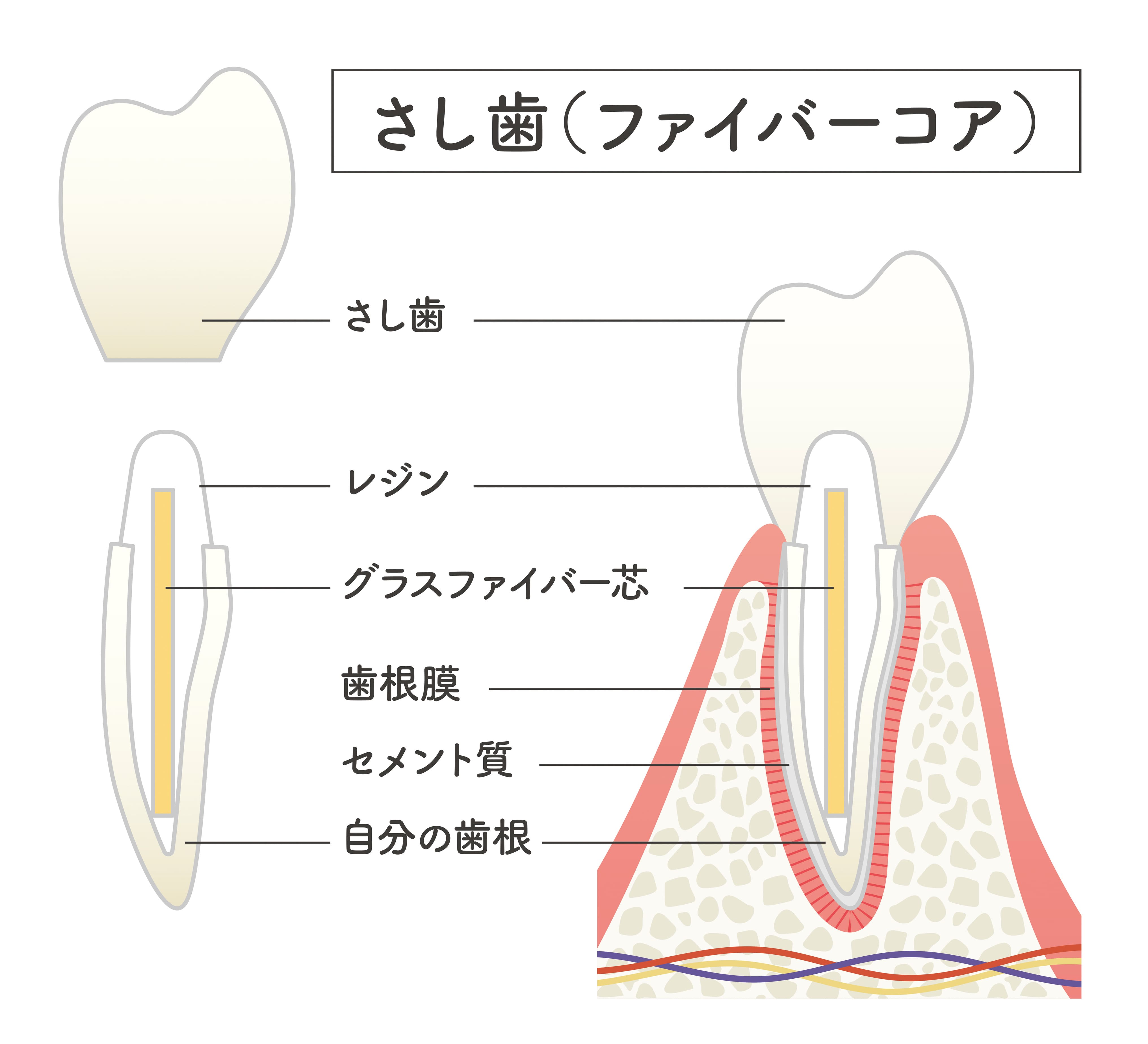 コア