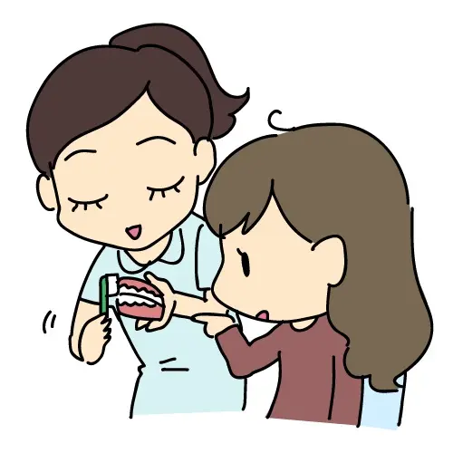 スタッフが模型を使って、患者様に歯みがき方法を指導しているイラスト