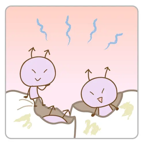 虫歯菌が増殖している様子を描いたイラスト