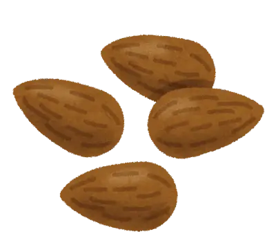 アーモンドのイラスト