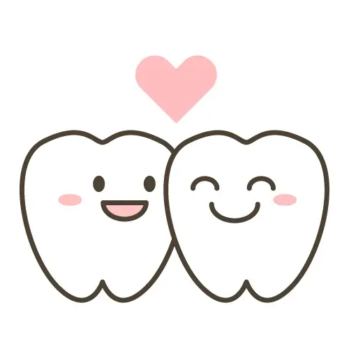 仲良く並ぶ2本の歯のイラスト