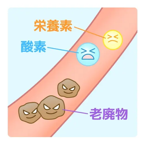 血管内で酸素や栄養素が運ばれ、老廃物が排出される仕組みを表したイラスト