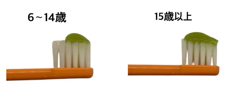 6~14歳(約0.5g)、15歳以上(約1g)年齢ごとの歯磨き粉の適量を示した歯ブラシ写真