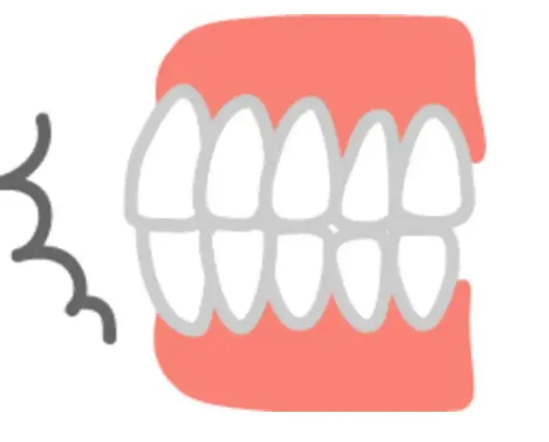 口腔内のイラスト