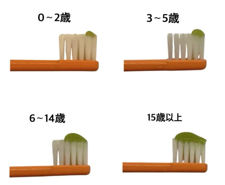 0~2歳（米粒大）、3~5歳（グリンピース大）、6~14歳（約0.5g）、15歳以上（約1g）年齢ごとの歯磨き粉の適量を示した歯ブラシ写真